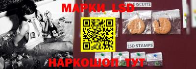 индика Лесосибирск