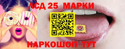 индика Лесосибирск