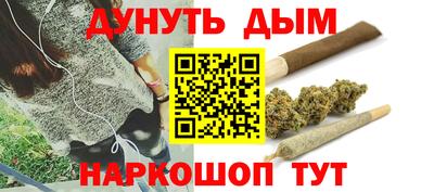 индика Лесосибирск
