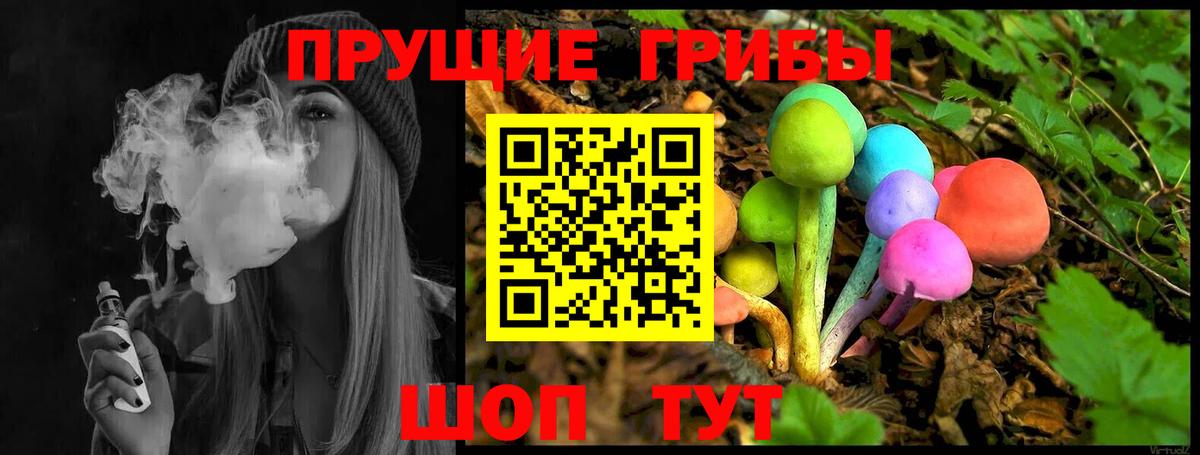 Галлюциногенные грибы Cubensis  Псилоцибиновые грибы мицелий  Таганрог  Вход с VPN 