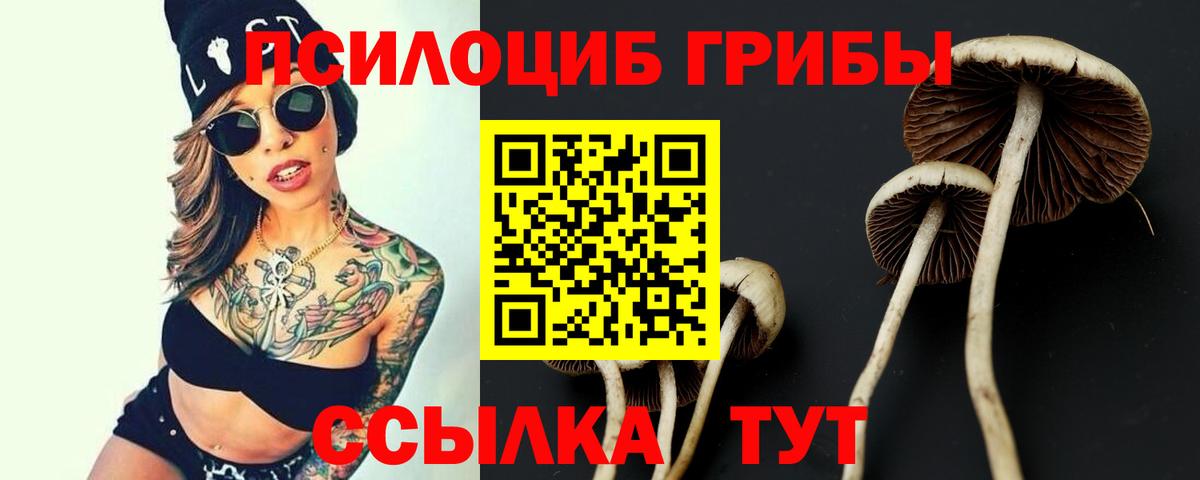 Псилоцибиновые грибы ЛСД Таганрог
